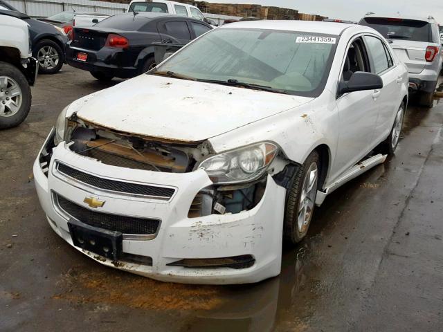 1G1ZB5EB0A4136463 - 2010 CHEVROLET MALIBU LS თეთრი ფოტო 2