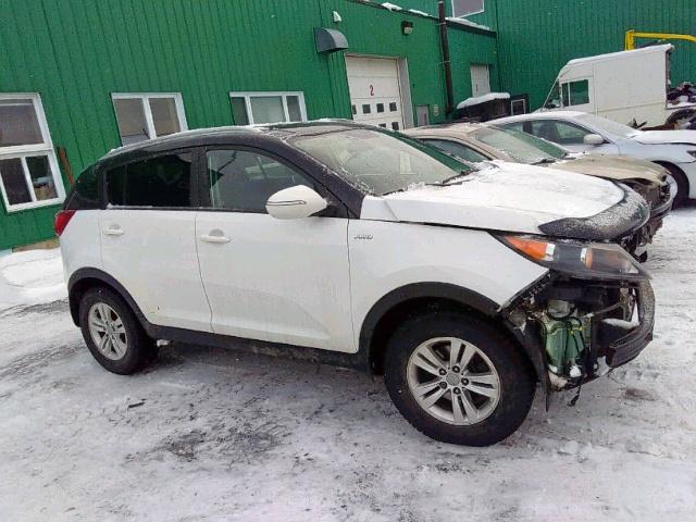 KNDPBCA2XC7336079 - 2012 KIA SPORTAGE L WHITE photo 1