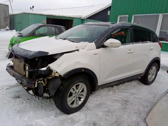 KNDPBCA2XC7336079 - 2012 KIA SPORTAGE L WHITE photo 2