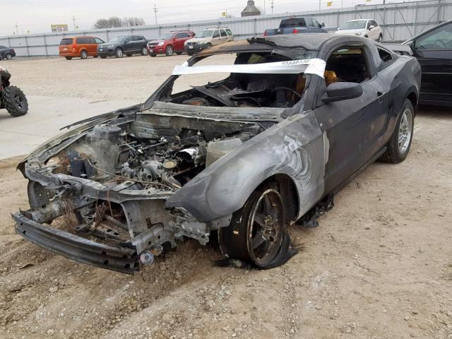 1ZVBP8AN8A5113614 - 2010 FORD MUSTANG BURN photo 2