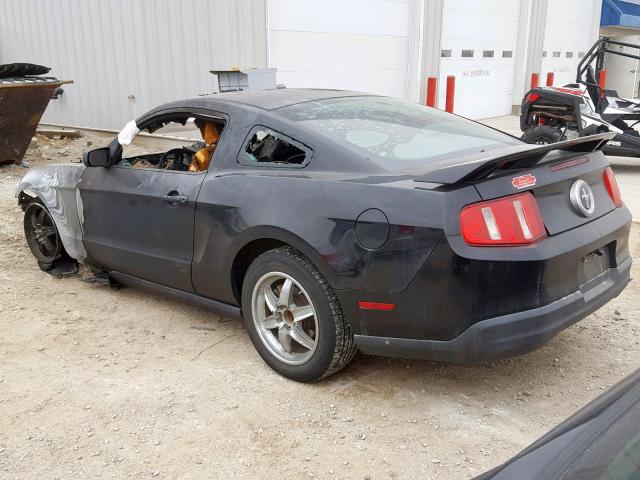 1ZVBP8AN8A5113614 - 2010 FORD MUSTANG BURN photo 3