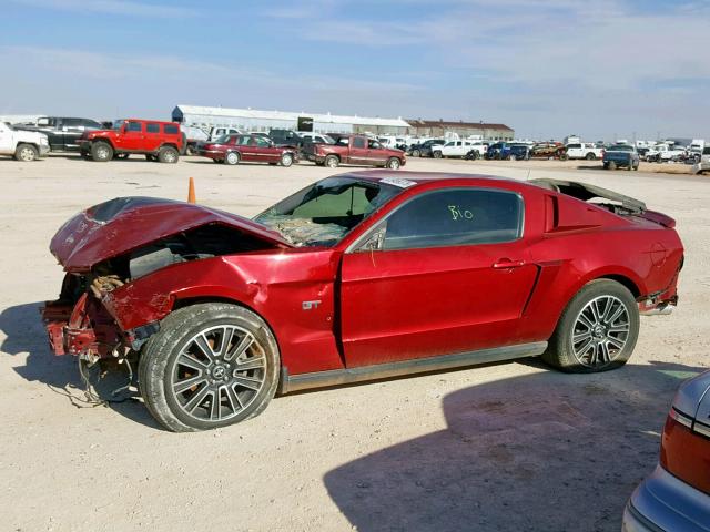 1ZVBP8CH2A5157566 - 2010 FORD MUSTANG GT RED photo 9