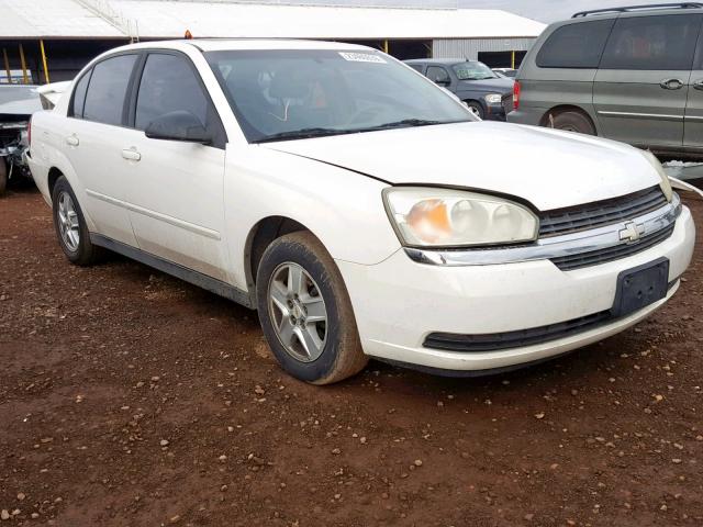 1G1ZT54835F292073 - 2005 CHEVROLET MALIBU LS თეთრი ფოტო 1