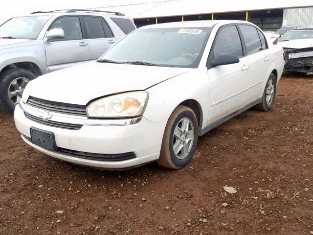 1G1ZT54835F292073 - 2005 CHEVROLET MALIBU LS თეთრი ფოტო 2