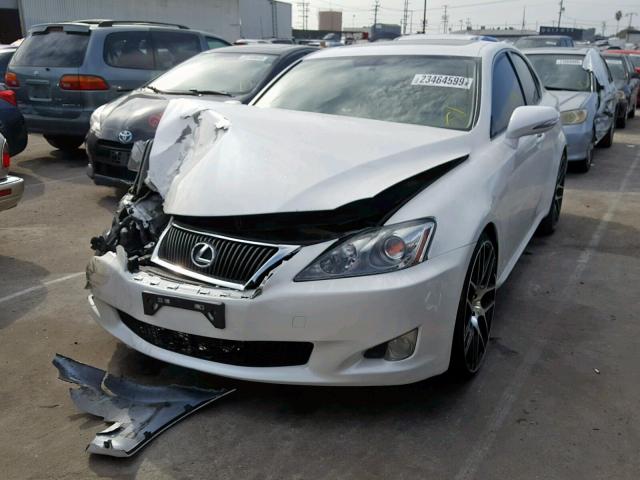 JTHBF5C26A2095704 - 2010 LEXUS IS 250 WHITE photo 2