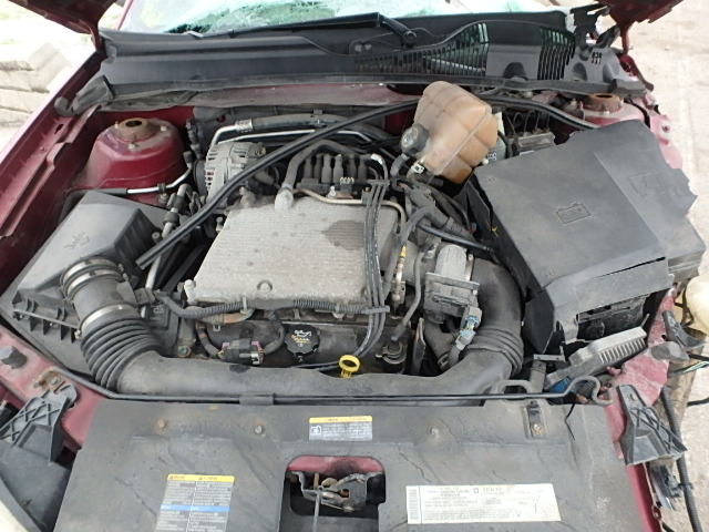 1G1ZT62875F181390 - 2005 CHEVROLET MALIBU MAX წითელი ფოტო 7