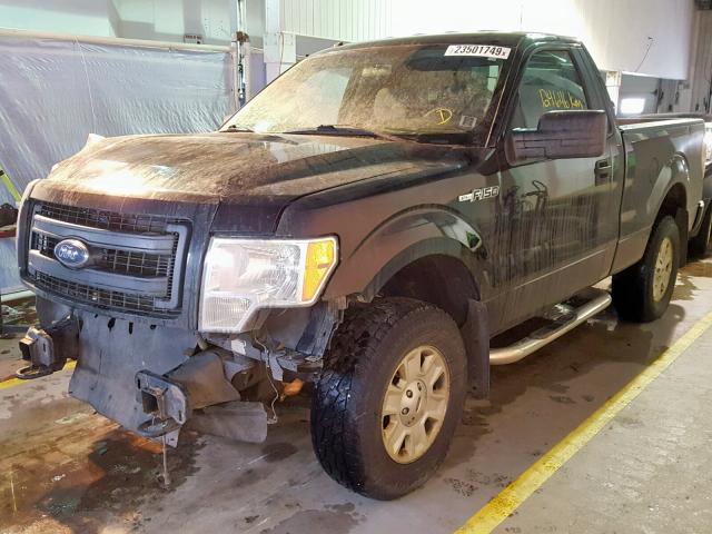 1FTMF1EM3DKF12461 - 2013 FORD F150 BLACK photo 2