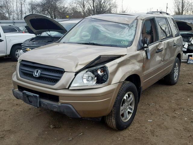 5FNYF185X5B012740 - 2005 HONDA PILOT EXL GOLD photo 2