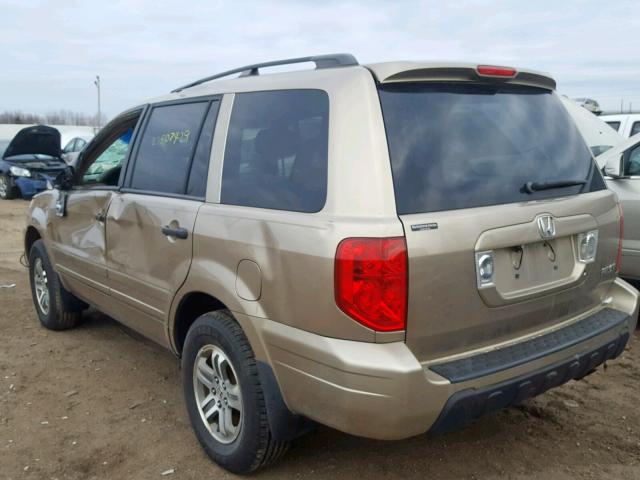 5FNYF185X5B012740 - 2005 HONDA PILOT EXL GOLD photo 3