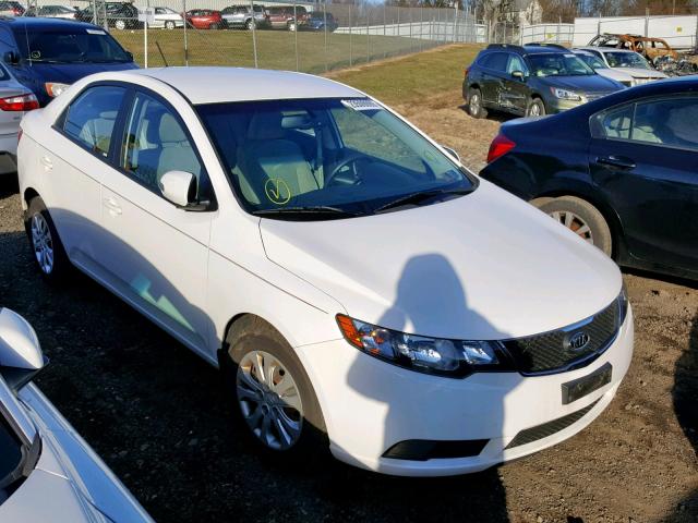 KNAFU4A24A5248937 - 2010 KIA FORTE EX WHITE photo 1