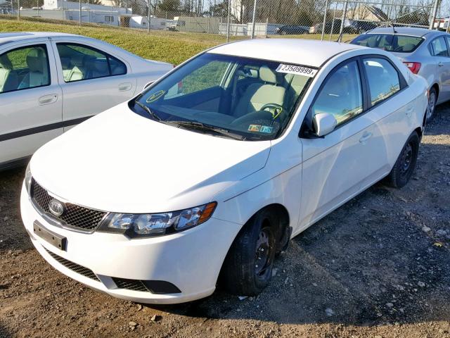 KNAFU4A24A5248937 - 2010 KIA FORTE EX WHITE photo 2