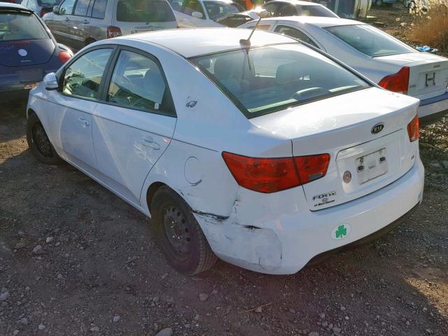 KNAFU4A24A5248937 - 2010 KIA FORTE EX WHITE photo 3