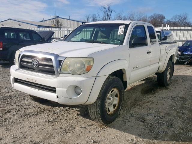 5TEUU42N56Z187329 - 2006 TOYOTA TACOMA ACC WHITE photo 2