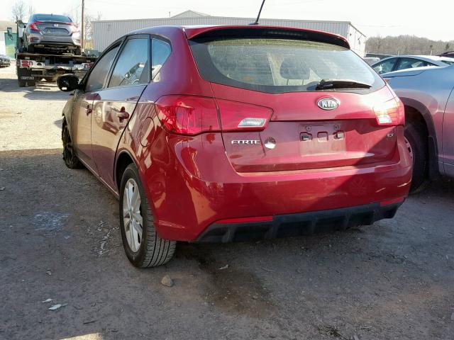 KNAFU5A21B5333919 - 2011 KIA FORTE EX MAROON photo 3