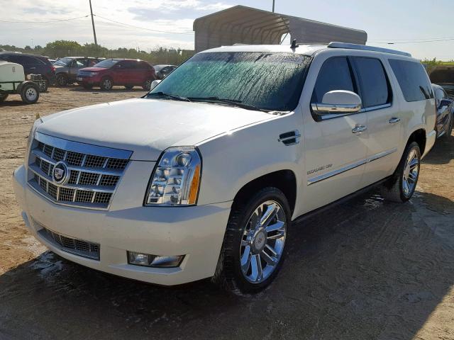 1GYS3CEF5BR350764 - 2011 CADILLAC ESCALADE P WHITE photo 2