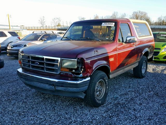 1FMEU15H6TLA98304 - 1996 FORD BRONCO U10 MAROON photo 2