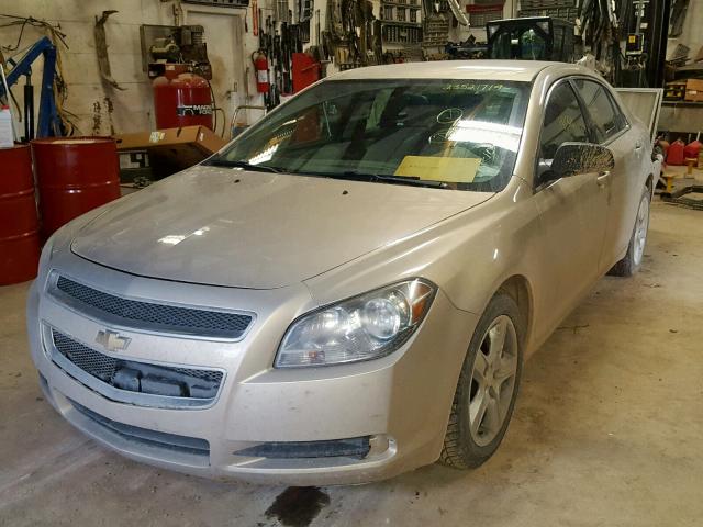 1G1ZB5EB3AF164925 - 2010 CHEVROLET MALIBU LS GOLD photo 2