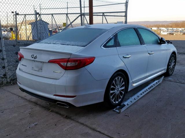 5NPE34AF4FH046420 - 2015 HYUNDAI SONATA SPO WHITE photo 4