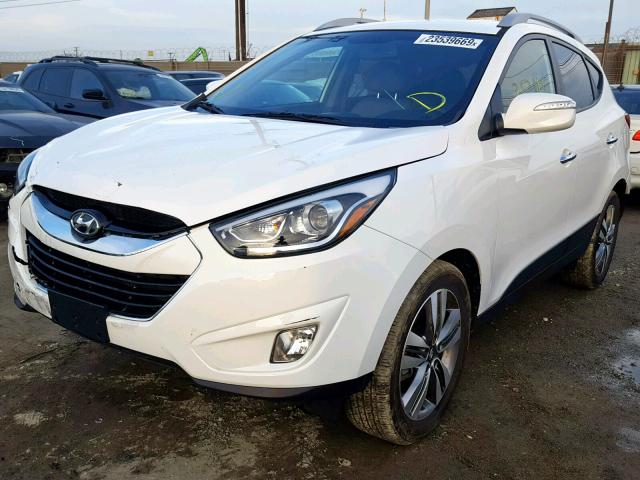 KM8JU3AG8FU982704 - 2015 HYUNDAI TUCSON LIM WHITE photo 2