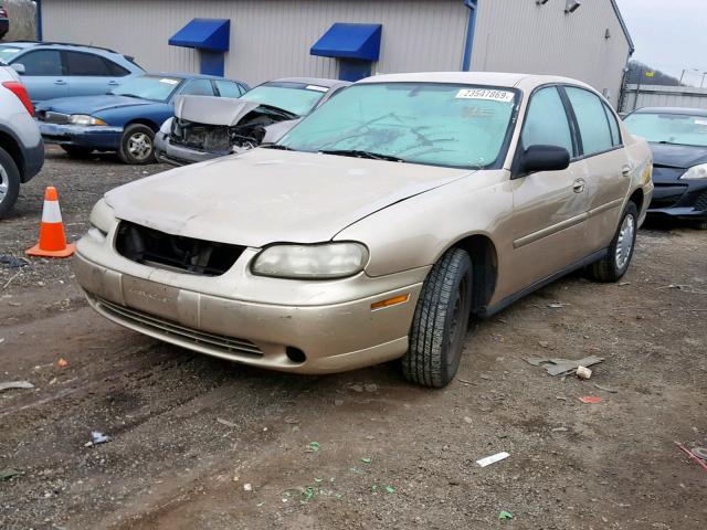 1G1ND52F44M656797 - 2004 CHEVROLET CLASSIC TAN photo 2