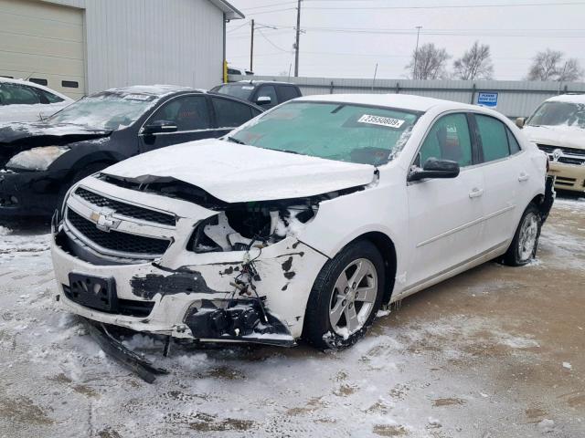 1G11B5SA0DF173210 - 2013 CHEVROLET MALIBU LS WHITE photo 2