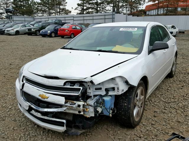 1G1ZB5EB7AF265286 - 2010 CHEVROLET MALIBU LS Ақ фото 2