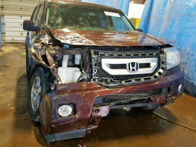 5FNYF4H74BB033145 - 2011 HONDA PILOT EXLN BURGUNDY photo 9