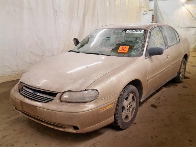 1G1ND52F05M192330 - 2005 CHEVROLET CLASSIC BEIGE photo 2