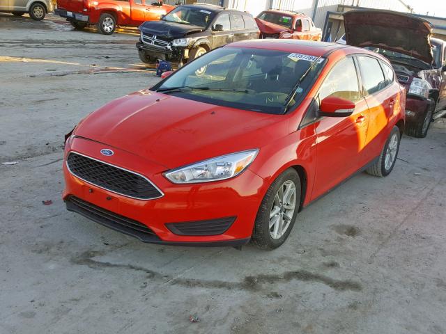 1FADP3K22GL348264 - 2016 FORD FOCUS SE RED photo 2