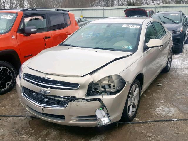1G1ZC5E1XBF281682 - 2011 CHEVROLET MALIBU 1LT ოქროსფერი ფოტო 2