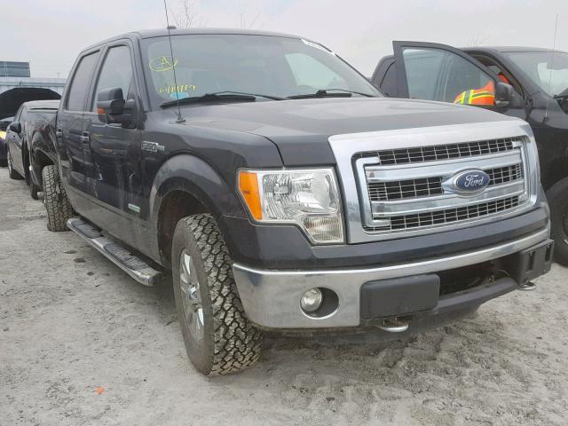 1FTFW1ET4DFD50297 - 2013 FORD F150 SUPER BLACK photo 1