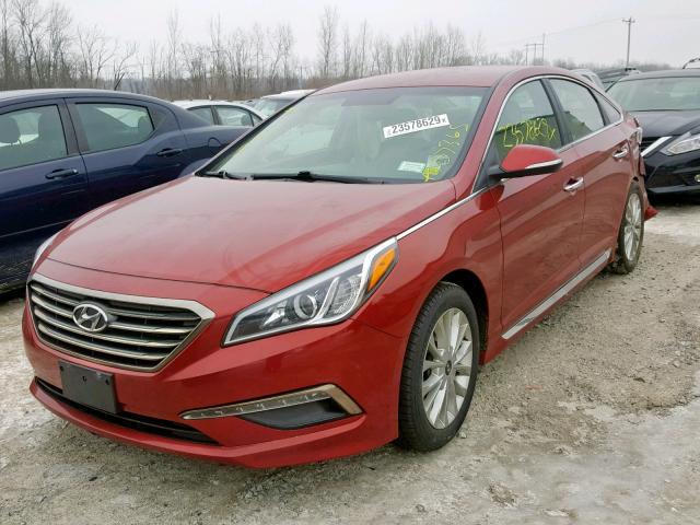 5NPE34AF1FH016937 - 2015 HYUNDAI SONATA SPO RED photo 2