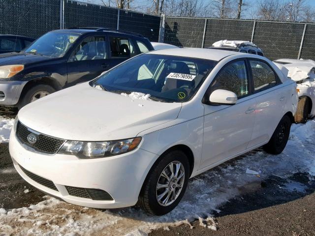 KNAFU4A20A5850718 - 2010 KIA FORTE EX WHITE photo 2