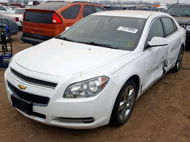 1G1ZC5EBXAF161789 - 2010 CHEVROLET MALIBU 1LT 白色 照片 2