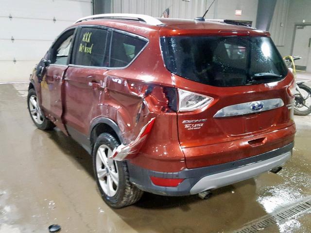 1FMCU9J94EUA82636 - 2014 FORD ESCAPE TIT BURGUNDY photo 3