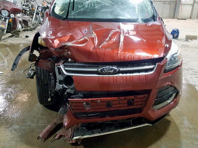 1FMCU9J94EUA82636 - 2014 FORD ESCAPE TIT BURGUNDY photo 7