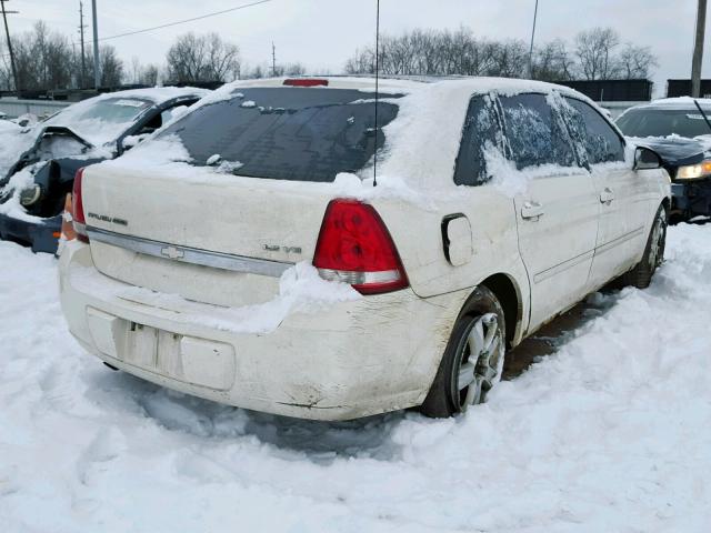 1G1ZT64875F170967 - 2005 CHEVROLET MALIBU MAX 白色 照片 4