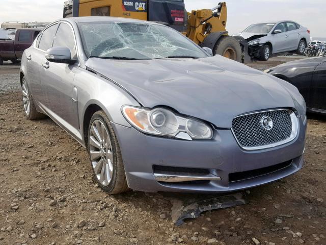 SAJWA06B59HR17094 - 2009 JAGUAR XF PREMIUM ვერცხლისფერი ფოტო 1