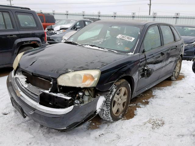 1G1ZU64854F205534 - 2004 CHEVROLET MALIBU MAX შავი ფოტო 2