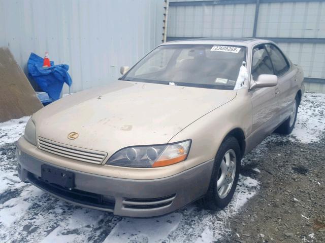 JT8BF12G5T0155508 - 1996 LEXUS ES 300 GOLD photo 2