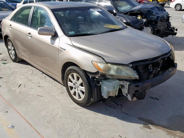 4T1BB46K19U081594 - 2009 TOYOTA CAMRY HYBR Qəhvəyi foto 1
