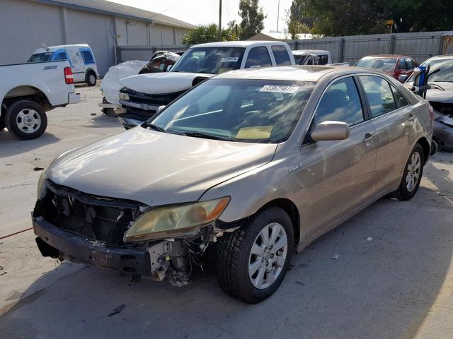 4T1BB46K19U081594 - 2009 TOYOTA CAMRY HYBR Qəhvəyi foto 2