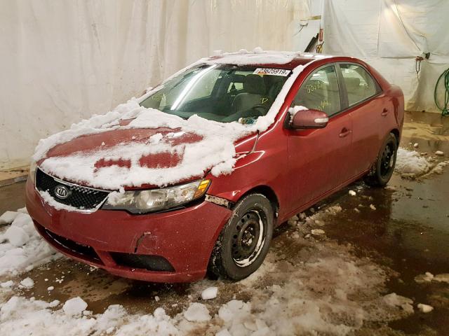 KNAFU4A21A5063888 - 2010 KIA FORTE EX RED photo 2