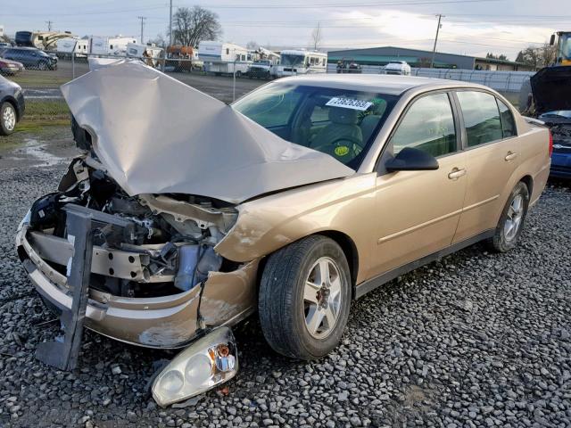 1G1ZT52815F251783 - 2005 CHEVROLET MALIBU LS ოქროსფერი ფოტო 2