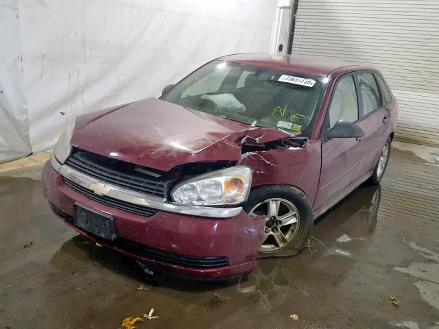 1G1ZT64805F155243 - 2005 CHEVROLET MALIBU MAX წითელი ფოტო 2