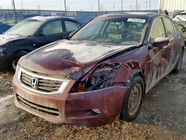 1HGCP36898A801105 - 2008 HONDA ACCORD EXL PURPLE photo 2