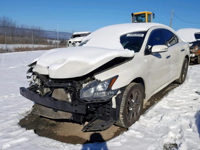 1N4AA5AP2EC911128 - 2014 NISSAN MAXIMA S WHITE photo 2