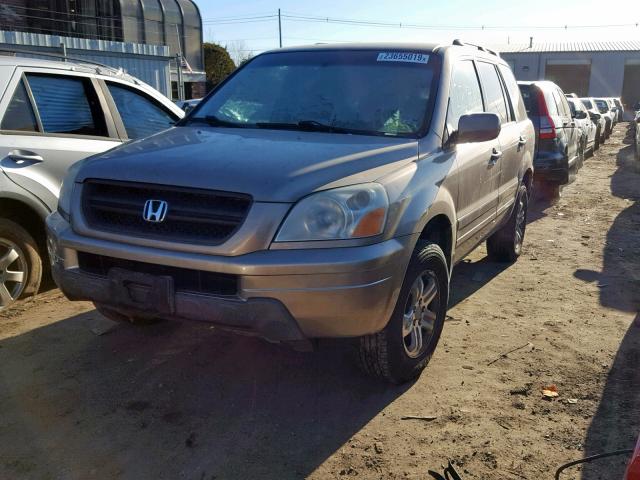 2HKYF18413H565685 - 2003 HONDA PILOT EX GOLD photo 2