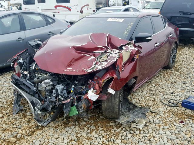 1N4AA6AP0HC422477 - 2017 NISSAN MAXIMA 3.5 MAROON photo 2