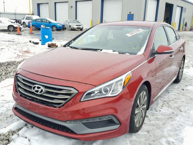 5NPE34AF6FH143070 - 2015 HYUNDAI SONATA SPO RED photo 2